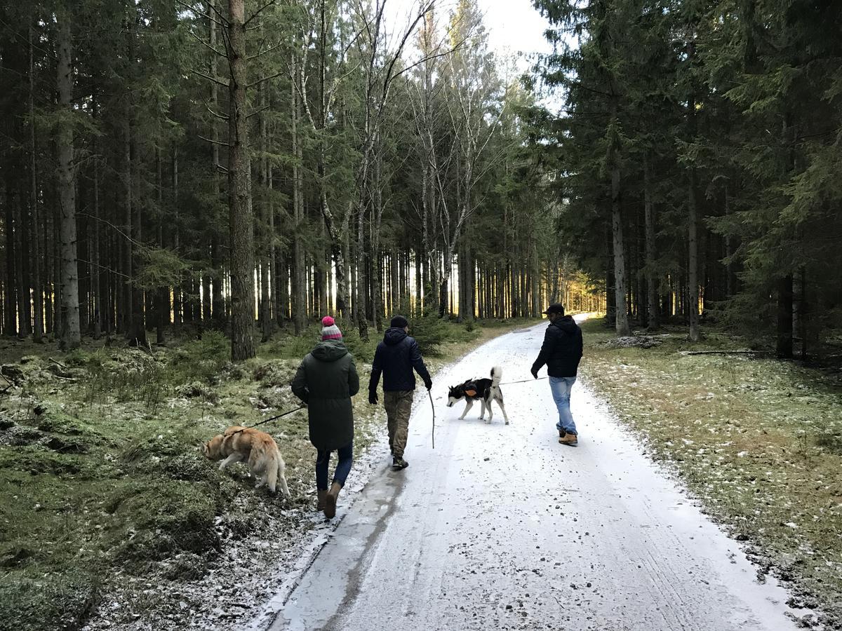 Tryde 1303 B&B Pa Oesterlen Tomelilla Kültér fotó